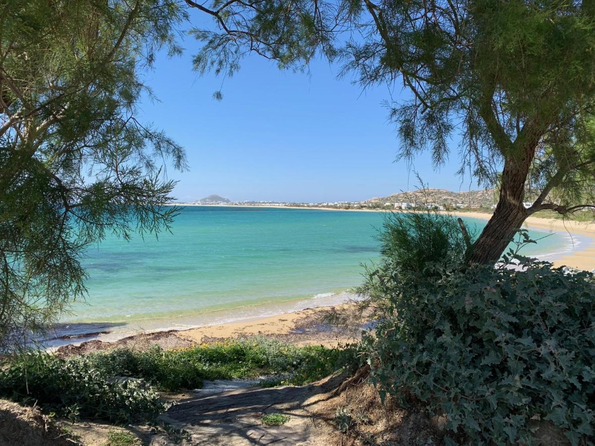 Villa Paradise In Naxos Pláka Eksteriør bilde